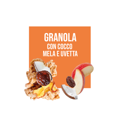 Granola uvetta cocco e mela 2585365c