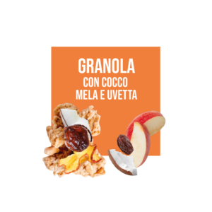 Granola uvetta cocco e mela